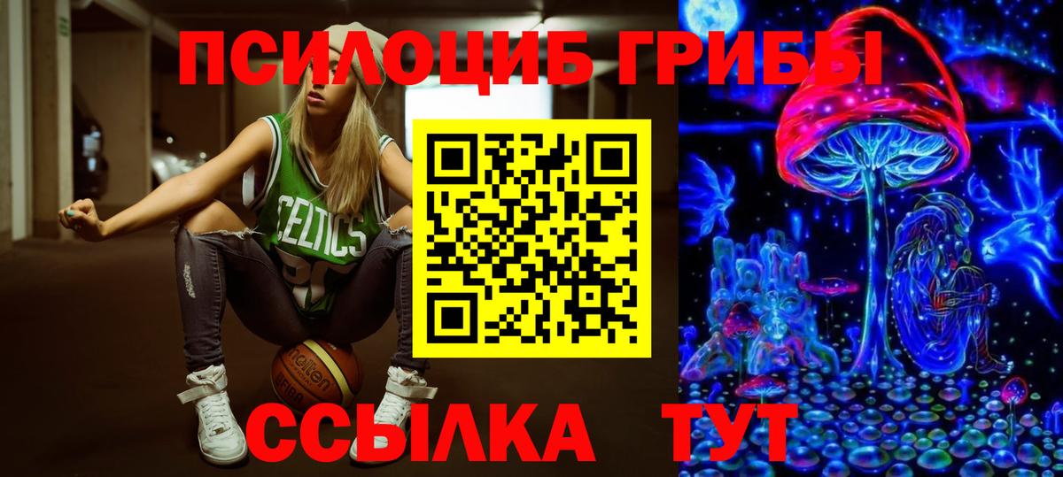 Галлюциногенные грибы Psilocybe Бузулук
