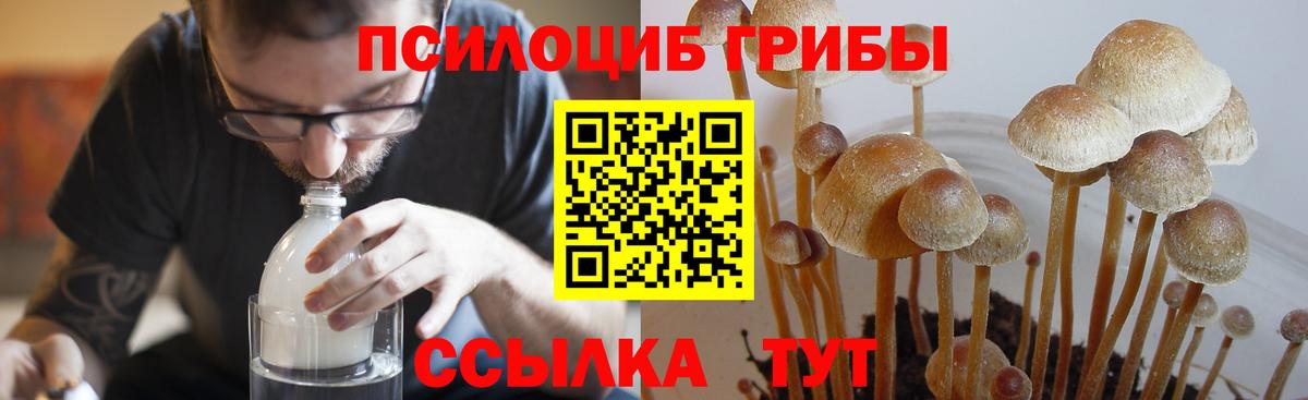 Псилоцибиновые грибы Magic Shrooms  Вход с VPN  Галлюциногенные грибы Magic Shrooms  Бузулук 
